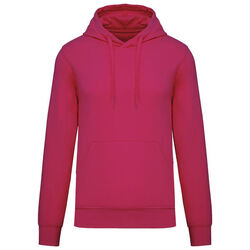 Sweat-shirt &agrave; capuche K4027 Beychac-Et-Caillau