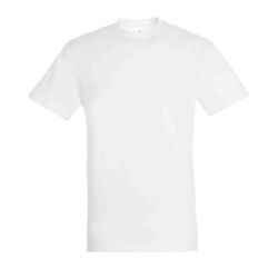 T-SHIRT MC TITAN Beychac-Et-Caillau
