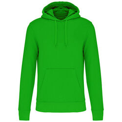 Sweat-shirt &agrave; capuche K4027 Beychac-Et-Caillau