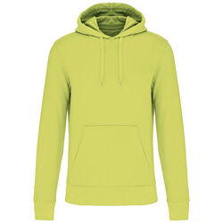 Sweat-shirt &agrave; capuche K4027 Beychac-Et-Caillau