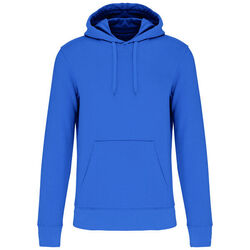 Sweat-shirt &agrave; capuche K4027 Beychac-Et-Caillau