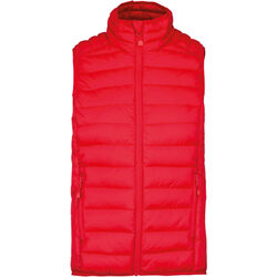 Bodywarmer Homme Doudoune L&eacute;g&egrave;re Beychac-Et-Caillau
