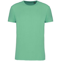 T-shirt Bio 150IC K3025ICC SAGE Beychac-Et-Caillau