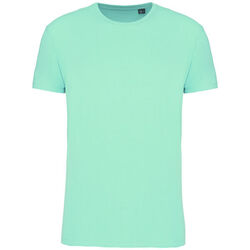 T-shirt Bio 150IC K3025ICC ICE MINT Beychac-Et-Caillau