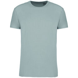T-shirt Bio 150IC K3025ICC SNOW GREY Beychac-Et-Caillau