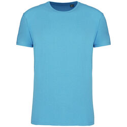 T-shirt Bio 150IC K3025ICC CLOUDY BLUE HEATHER Beychac-Et-Caillau