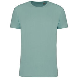 T-shirt Bio 190IC K3032ICC SAGE Beychac-Et-Caillau